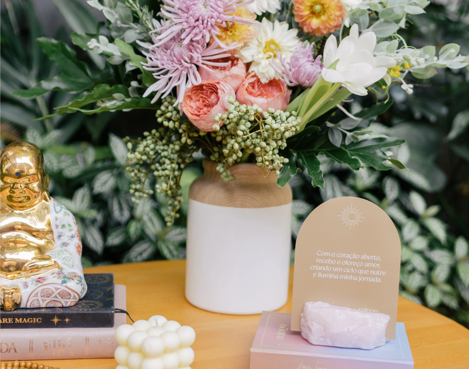 Capa - Mingo Wellness