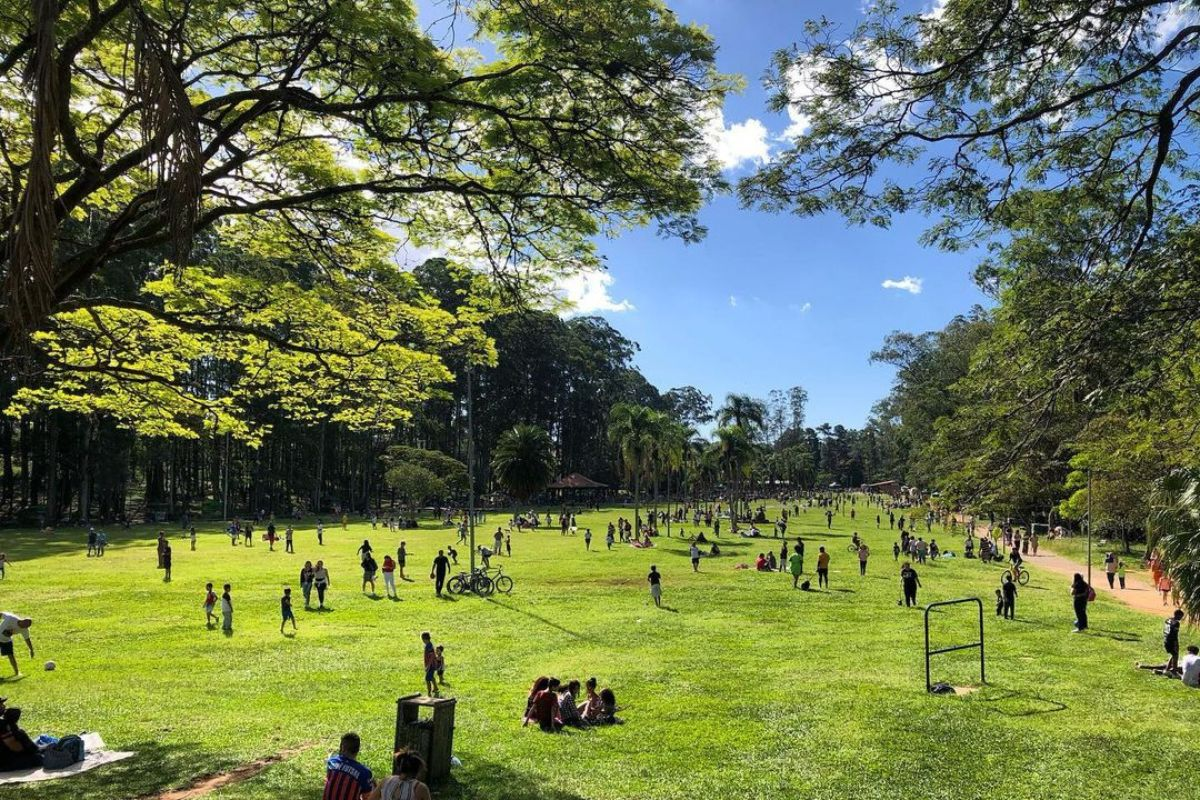 no parque do carmo é possível aproveitar diferentes atividades gratuitas com as crianças 