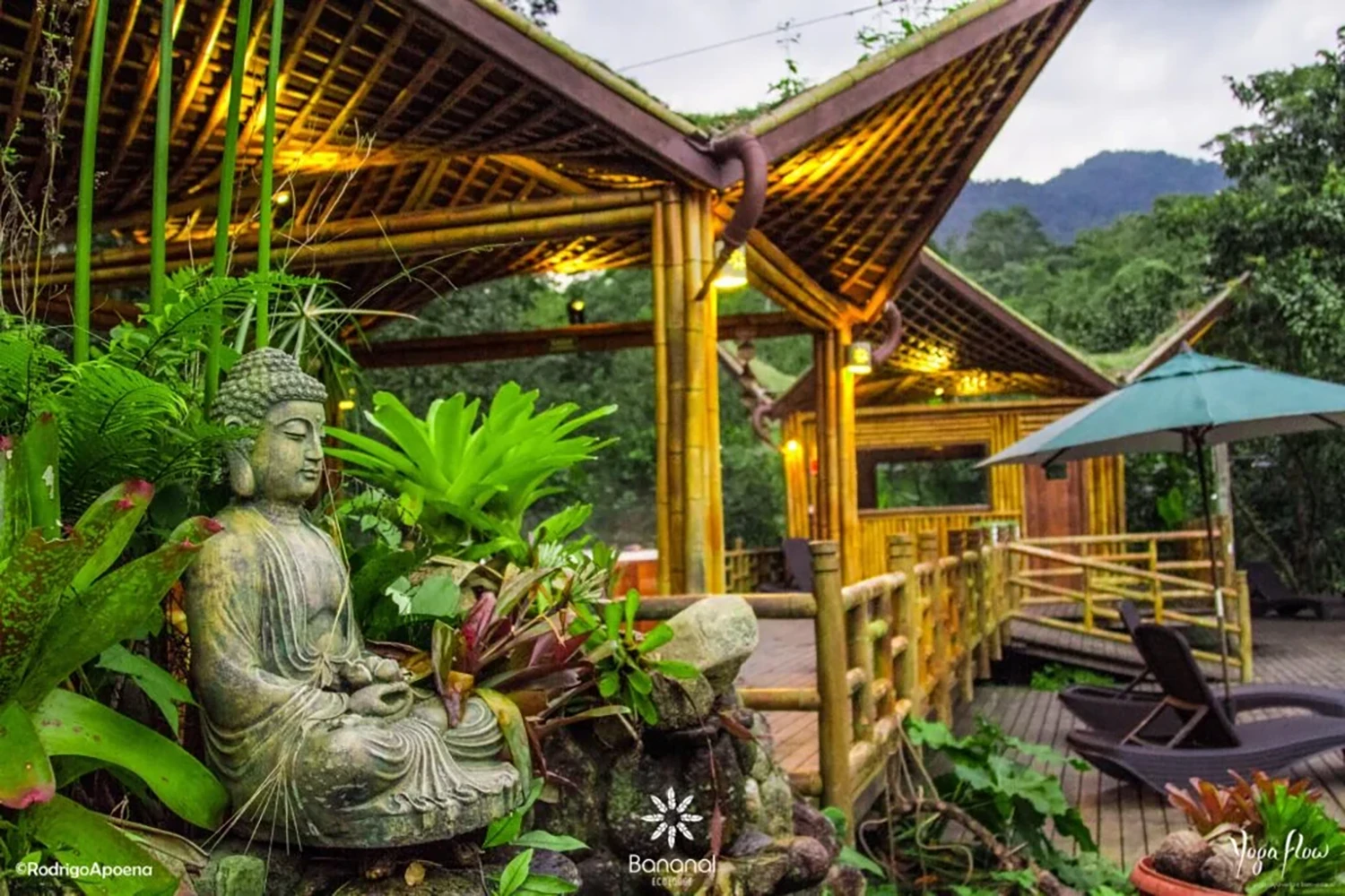 Paisagismo no Banana Bamboo EcoResort