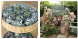Safari-Cenografia-Locacao-Voila-Festa-Infantil-Just-Real-Moms