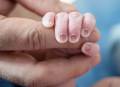 Pai-e-Bebe-Fotografa-Parto-Guia-De-Fornecedores-Just-Real-Moms